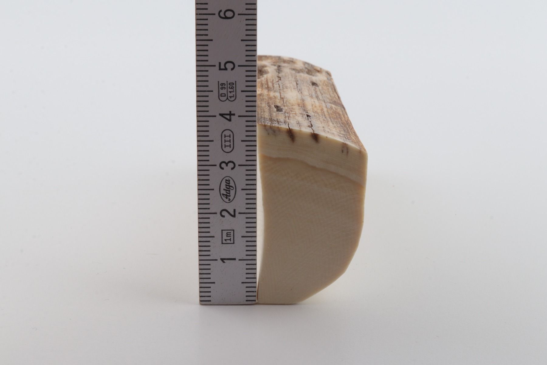 White mammoth ivory segment