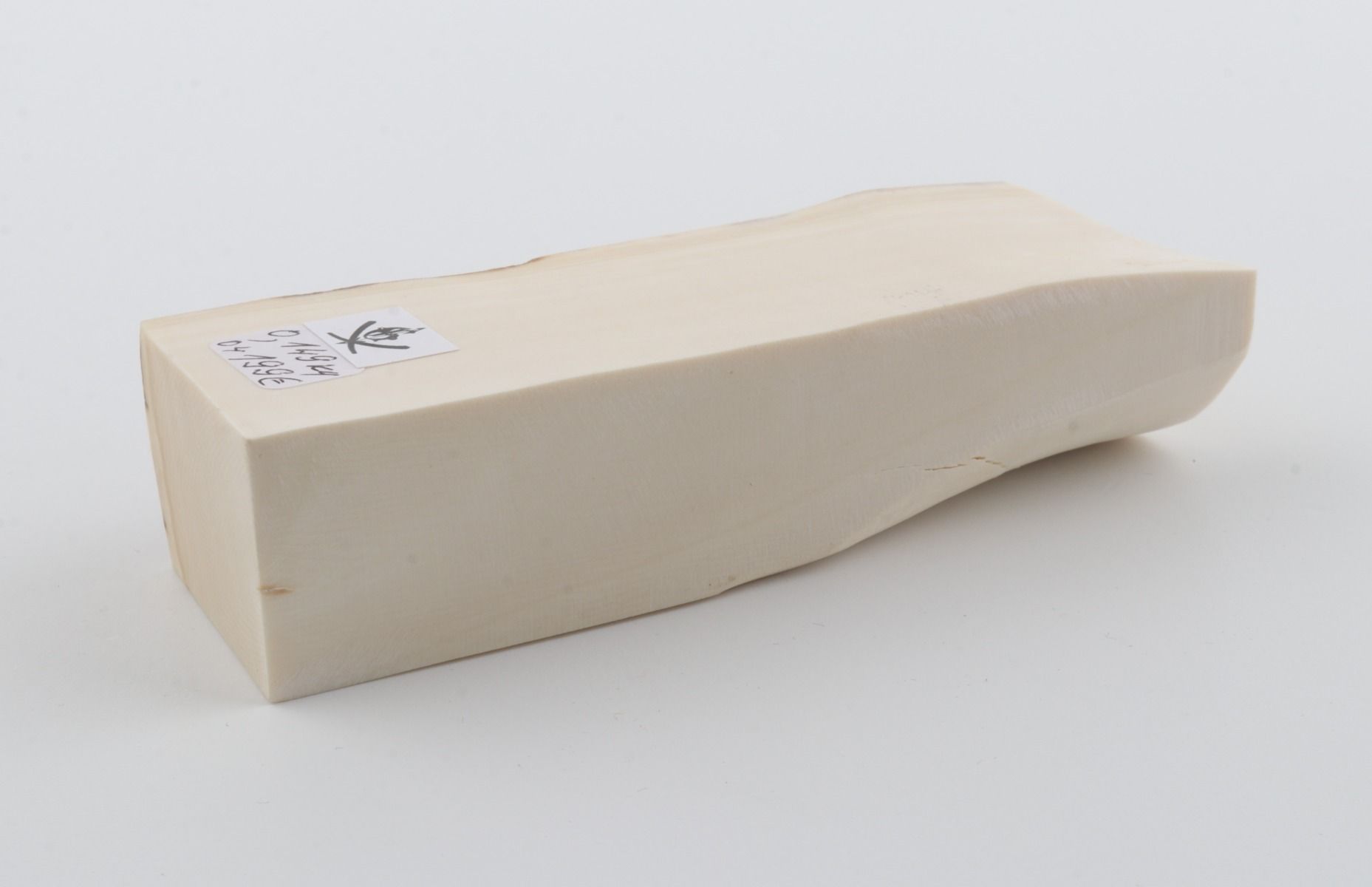 White mammoth ivory segment