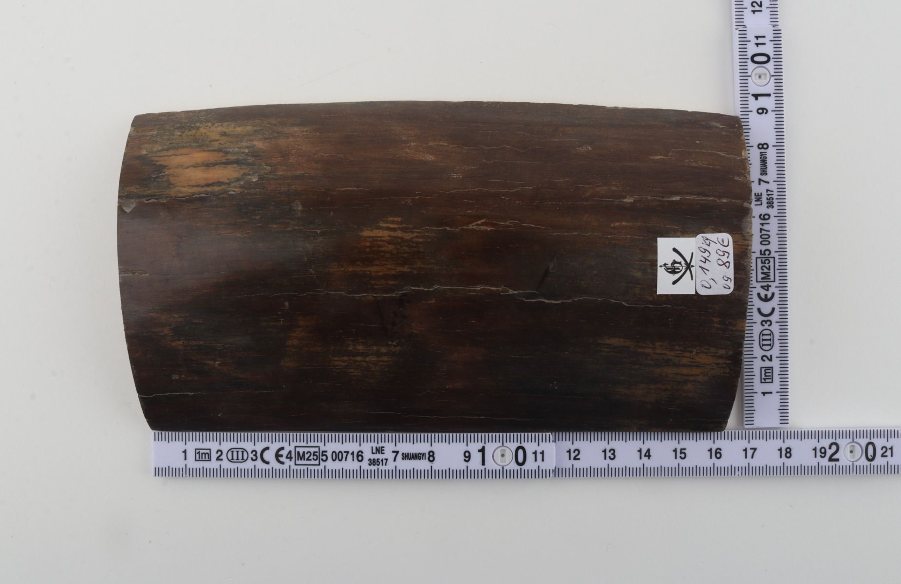 Brown mammoth bark