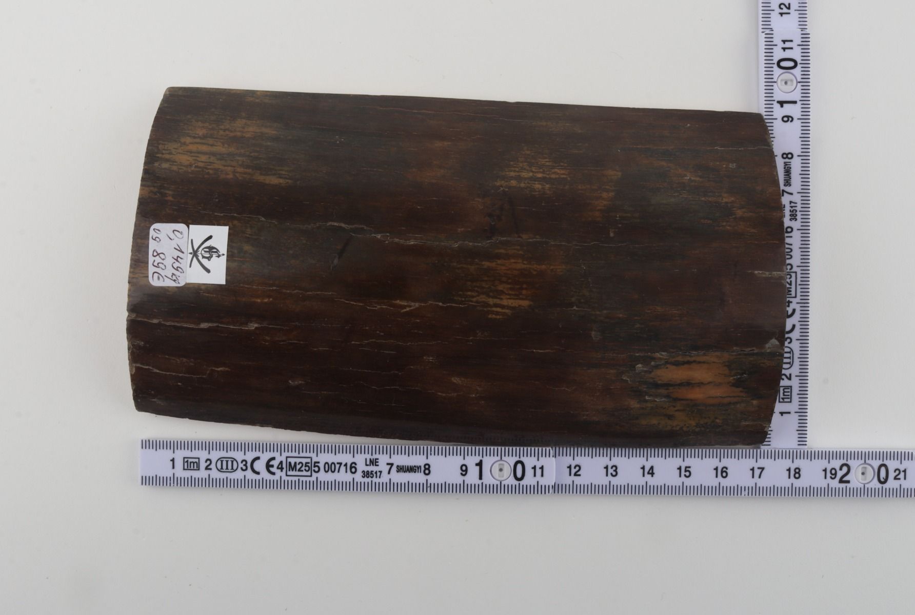 Brown mammoth bark