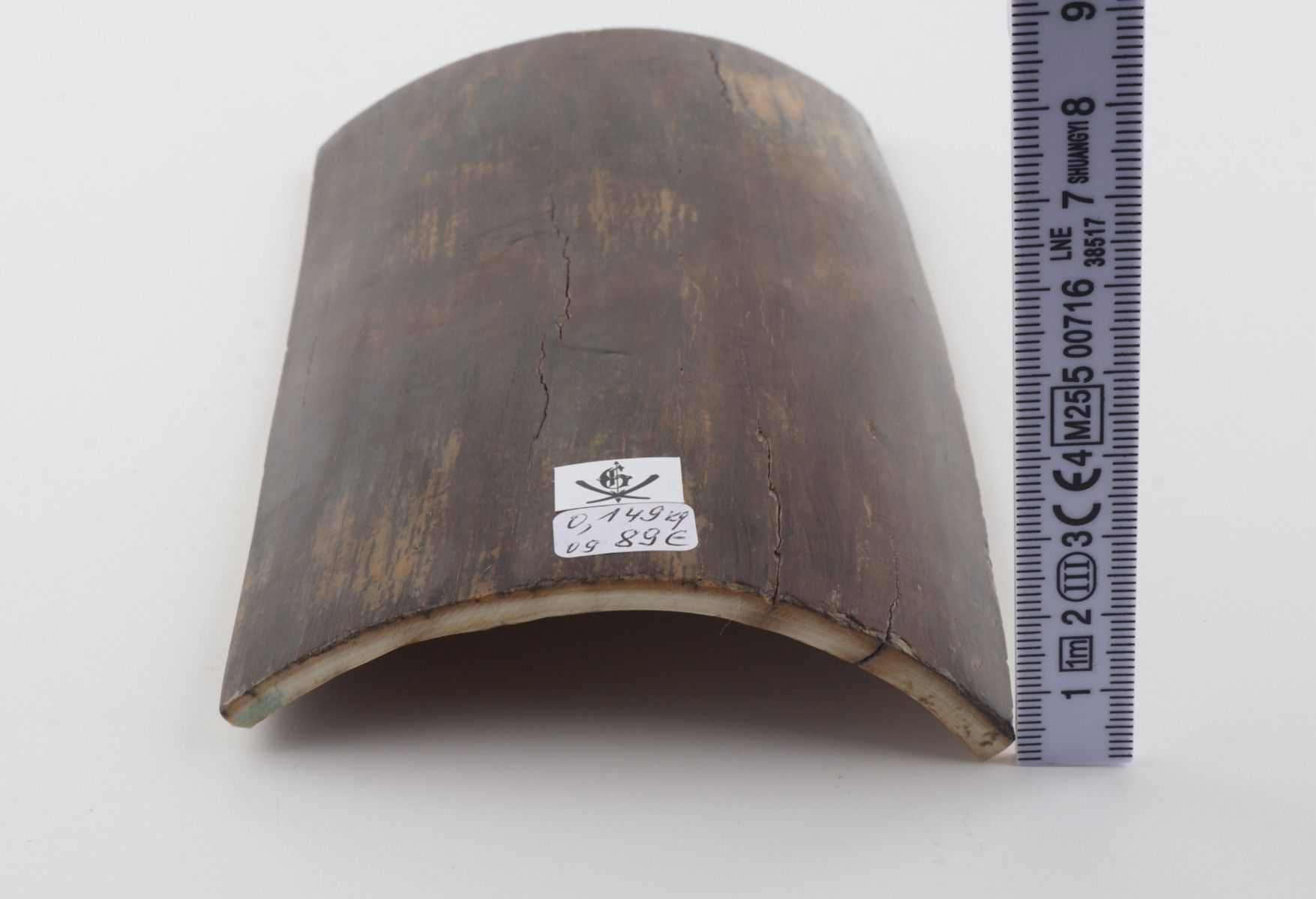 Brown mammoth bark