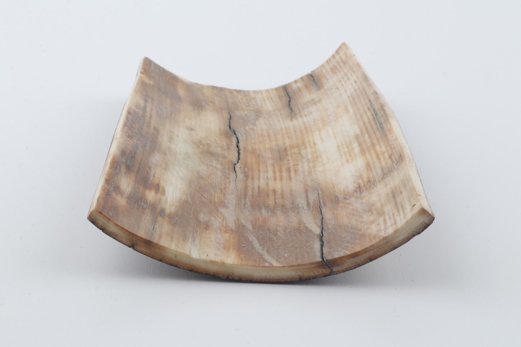 Brown mammoth bark