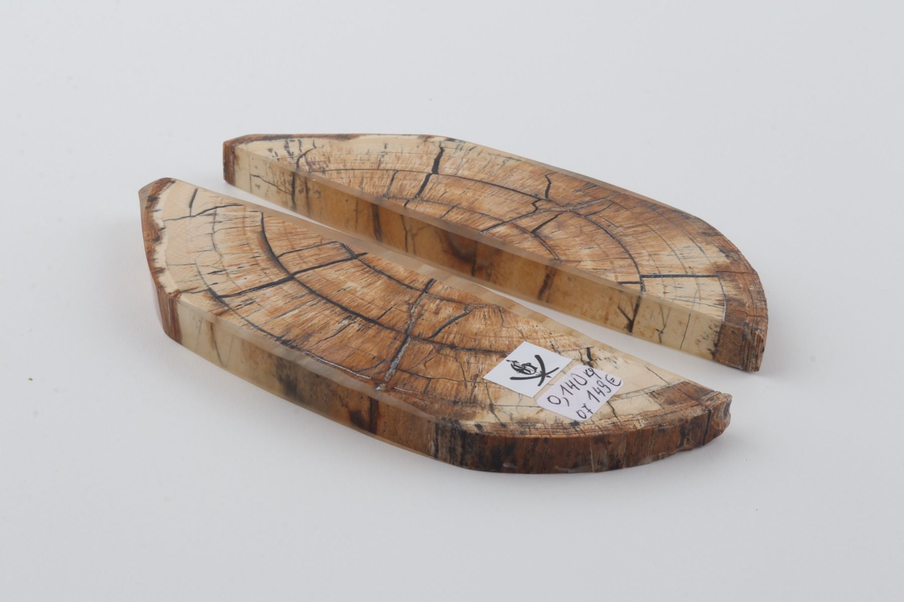 Stabilized mammoth ivory scales