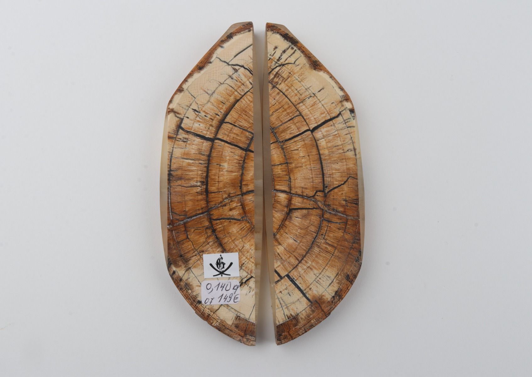 Stabilized mammoth ivory scales