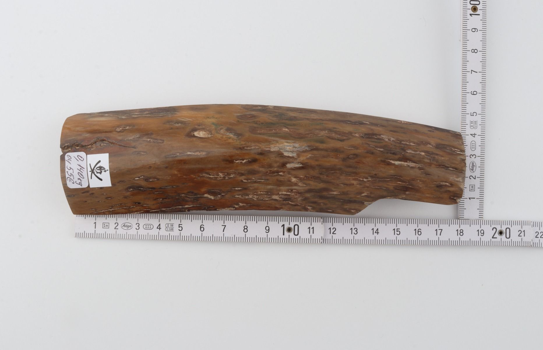 Brown-mustard mammoth bark