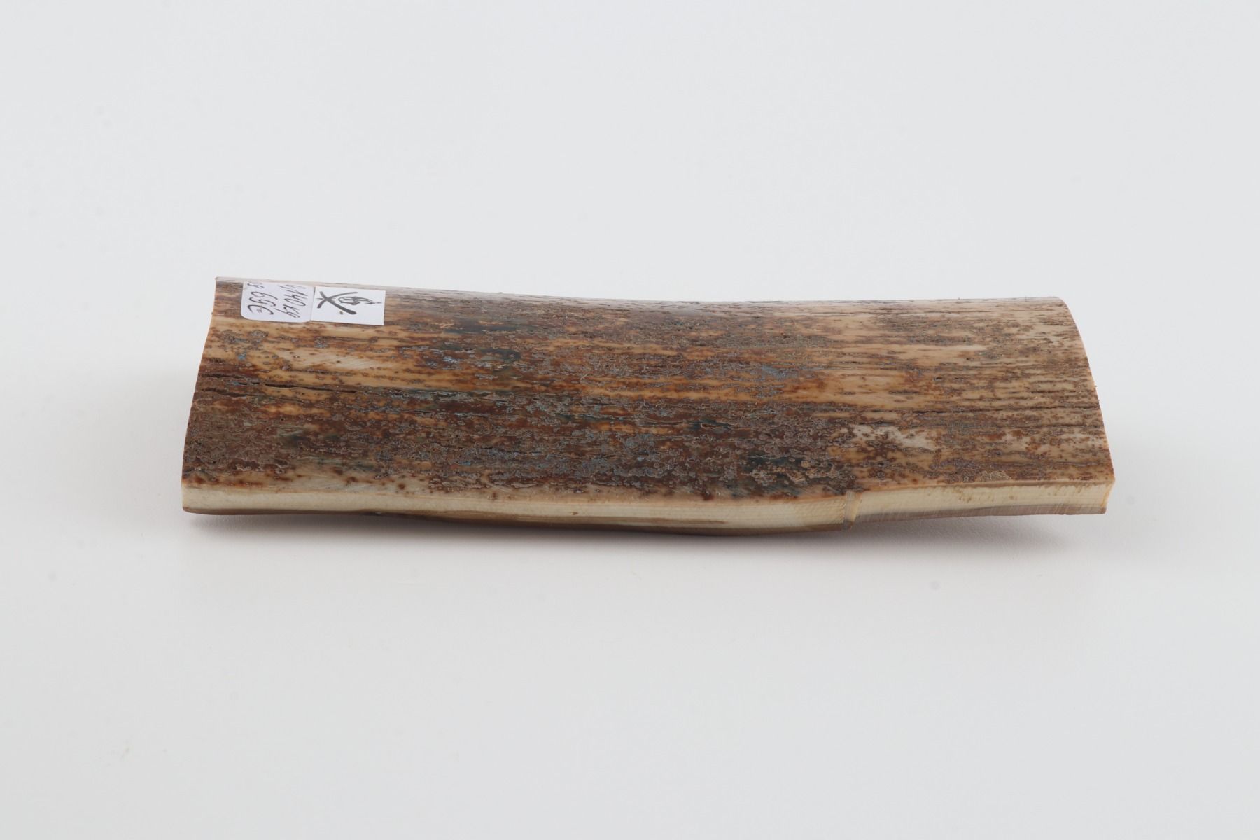 Natural mammoth bark