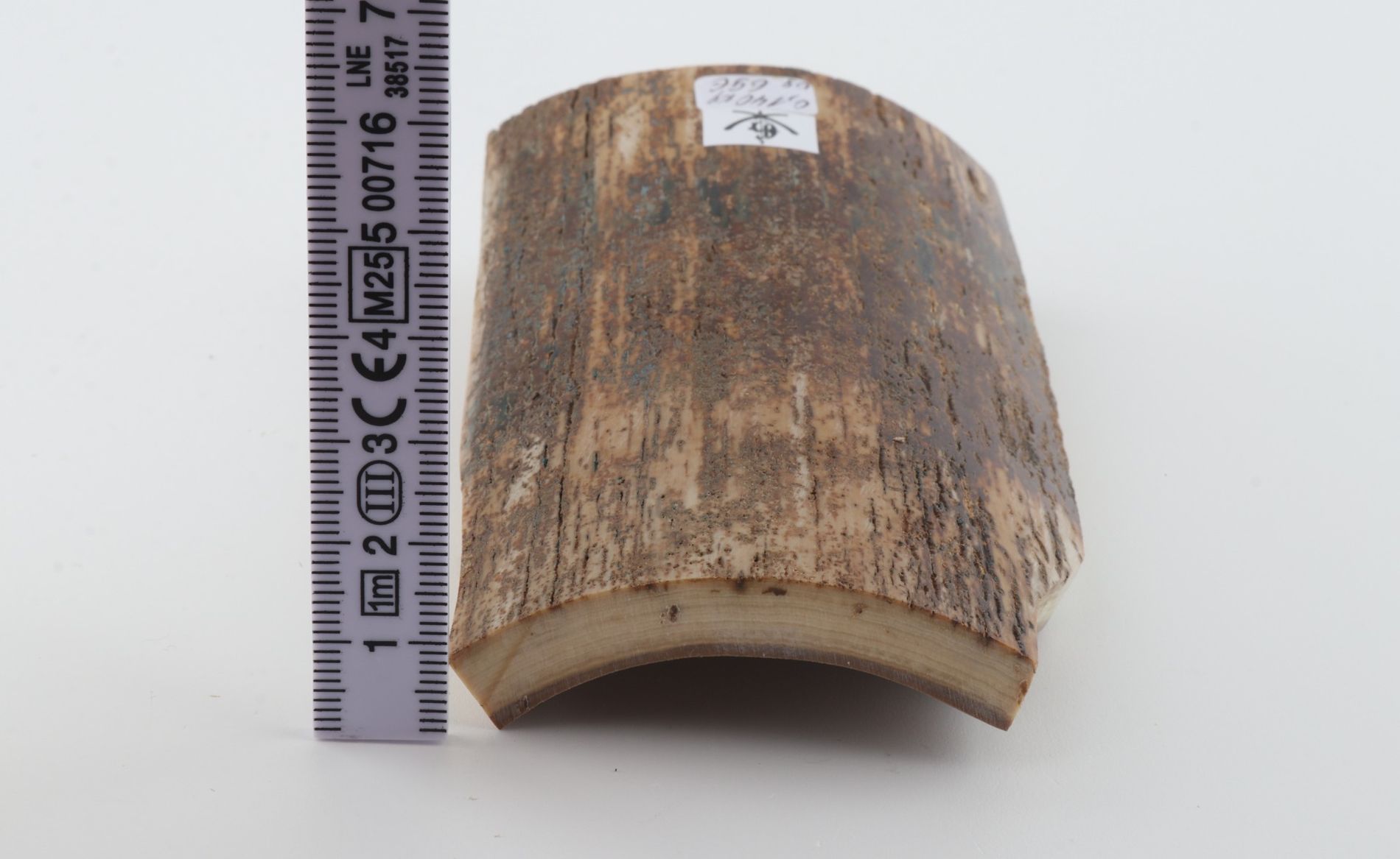 Natural mammoth bark
