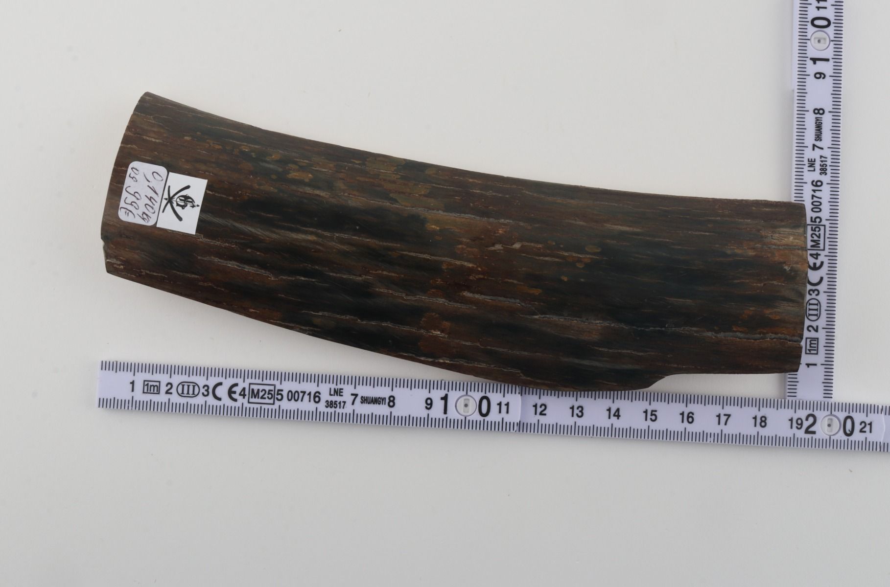 Brown-blue mammoth bark