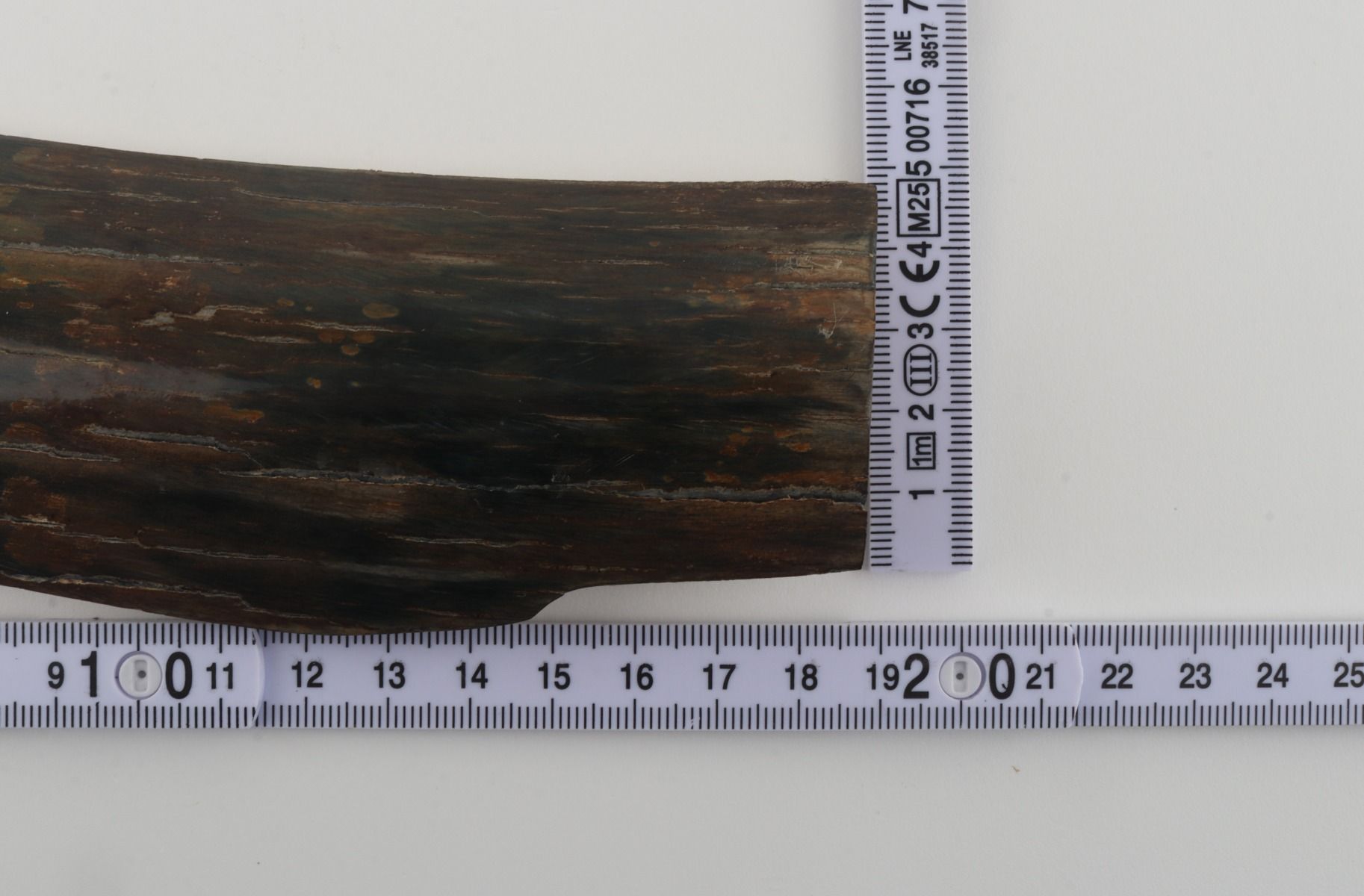 Brown-blue mammoth bark