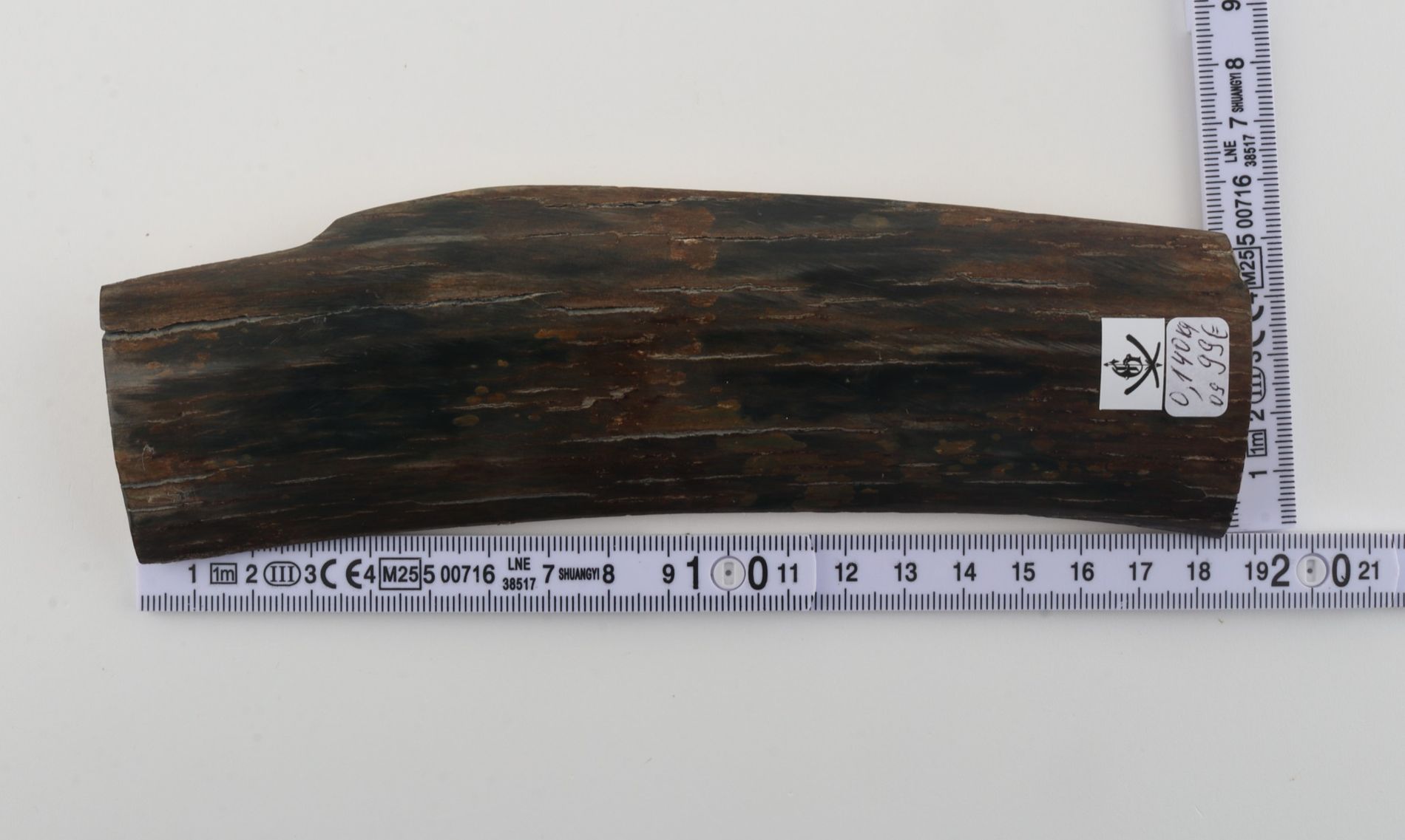 Brown-blue mammoth bark