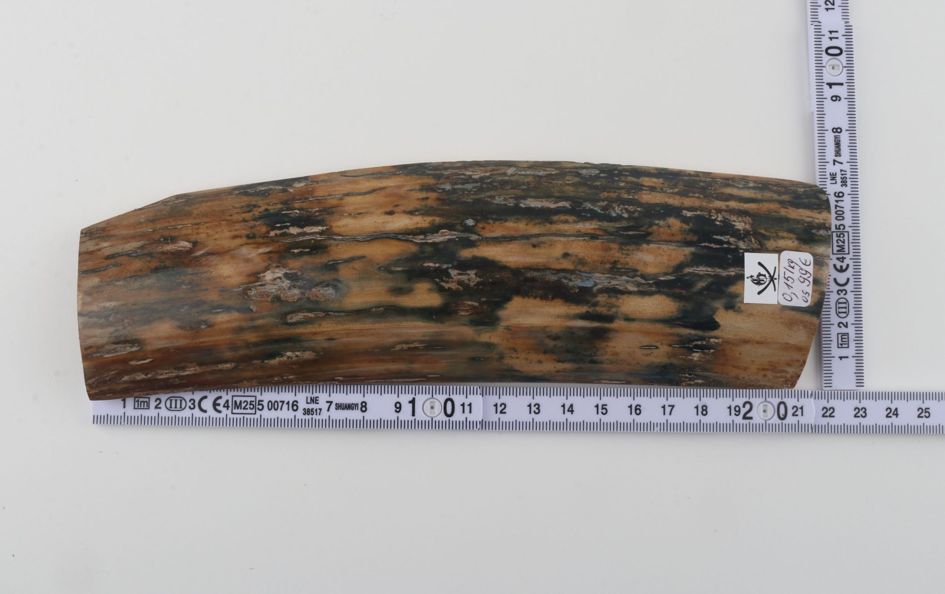 Blue-mustard mammoth bark