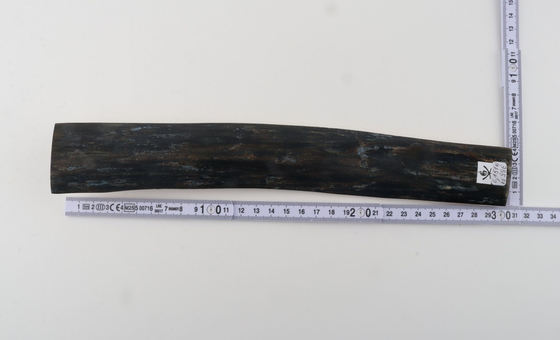 Blue mammoth bark