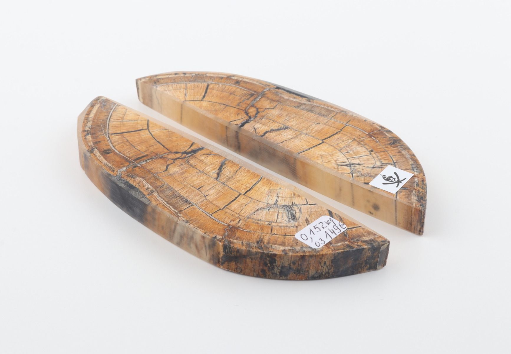 Stabilized mammoth ivory scales