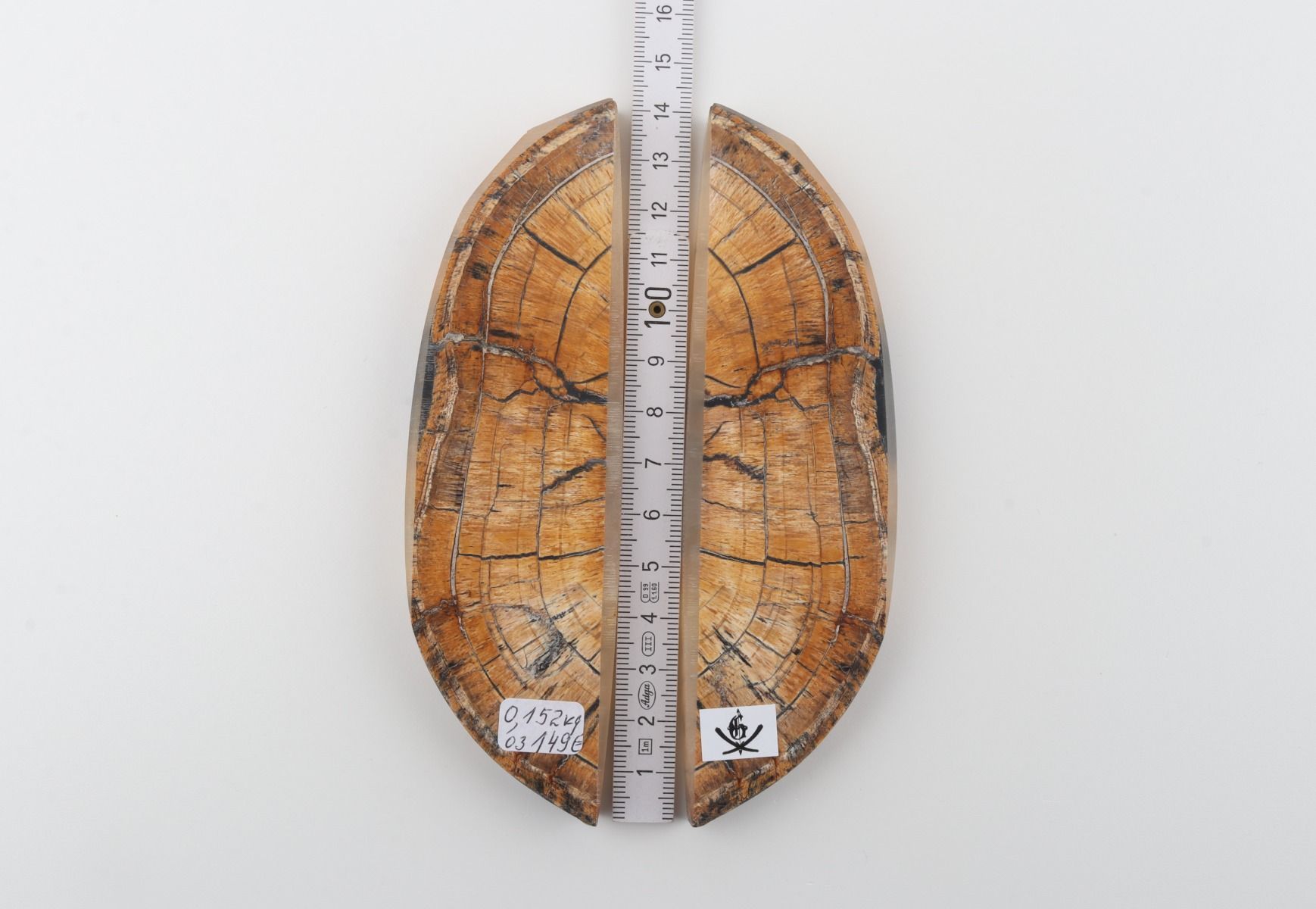 Stabilized mammoth ivory scales