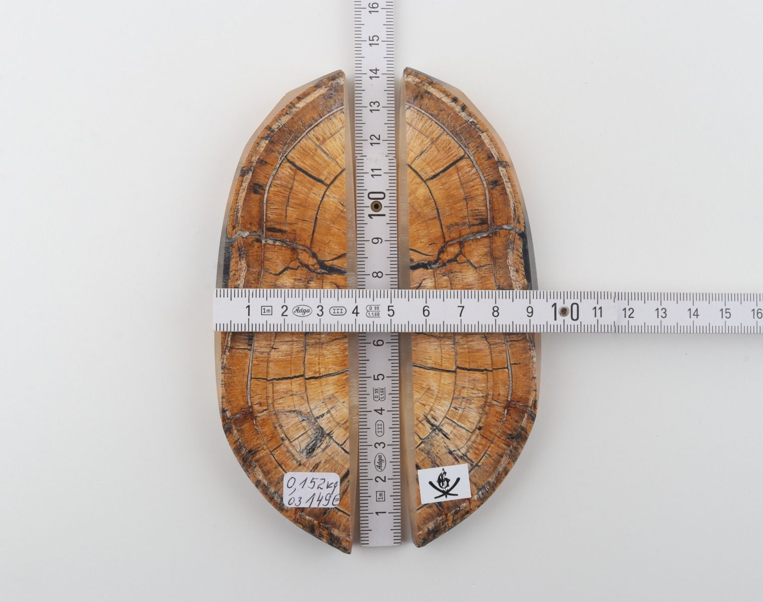 Stabilized mammoth ivory scales