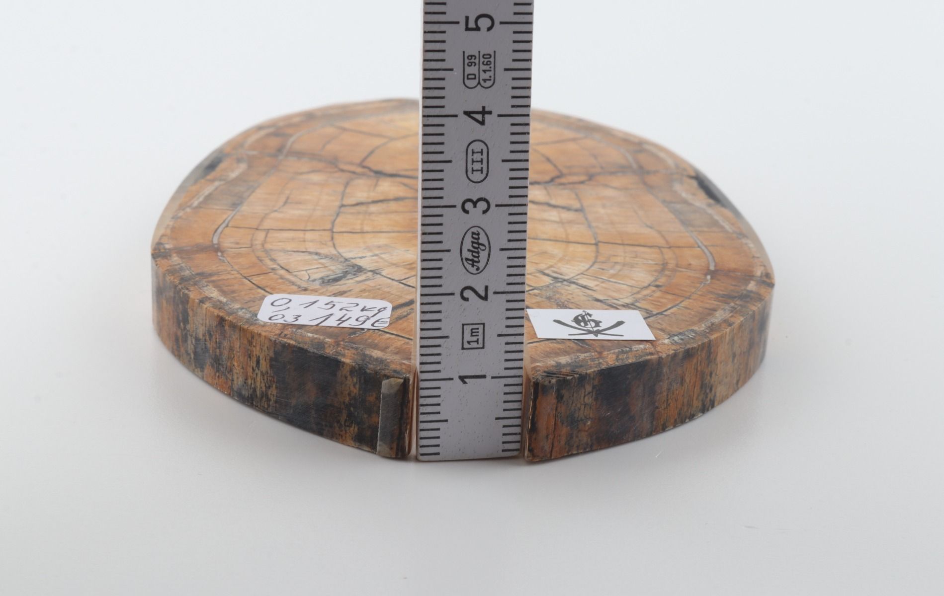 Stabilized mammoth ivory scales
