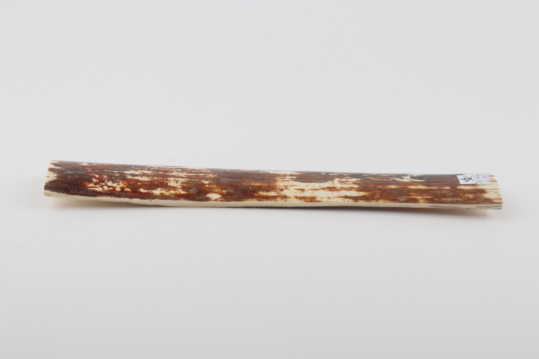 Natural mammoth bark