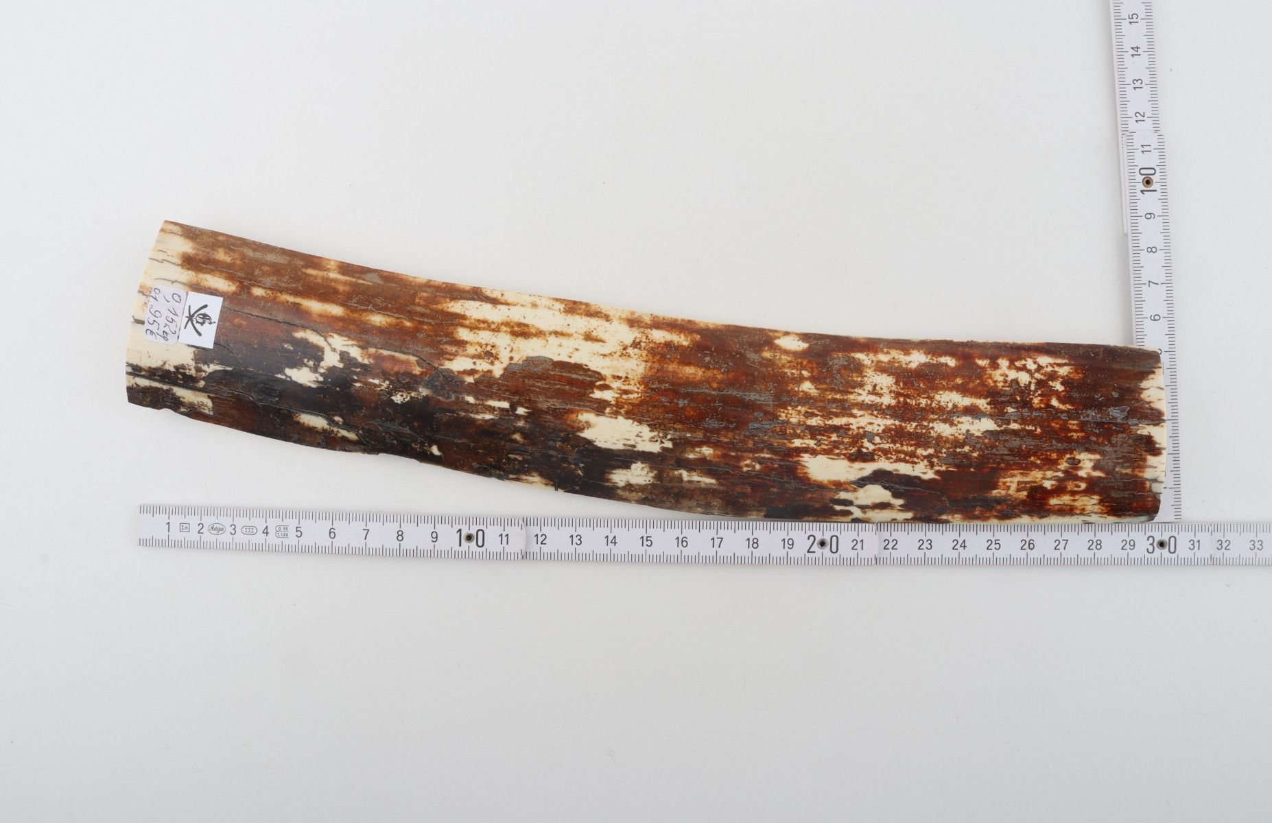 Natural mammoth bark