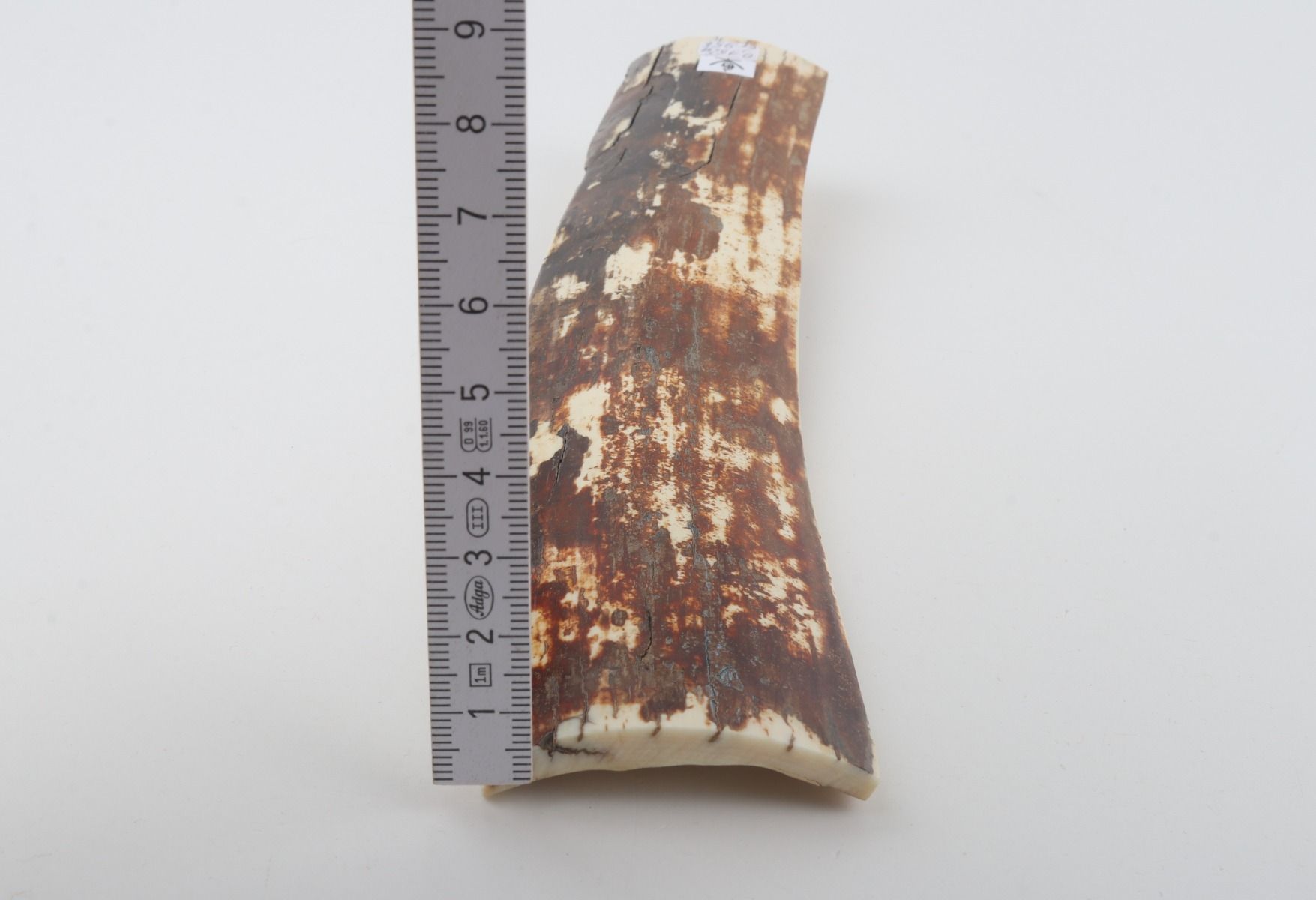 Natural mammoth bark
