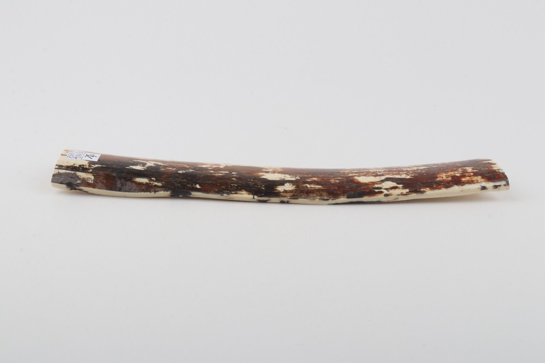Natural mammoth bark