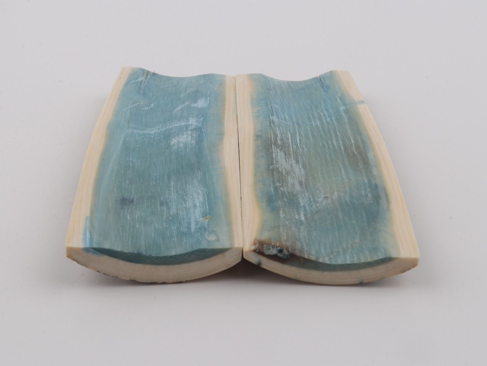 Stabilised mammoth bark scales