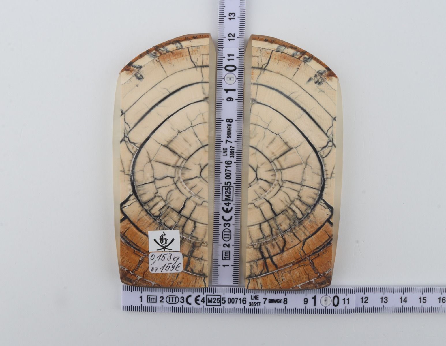Stabilized mammoth ivory scales