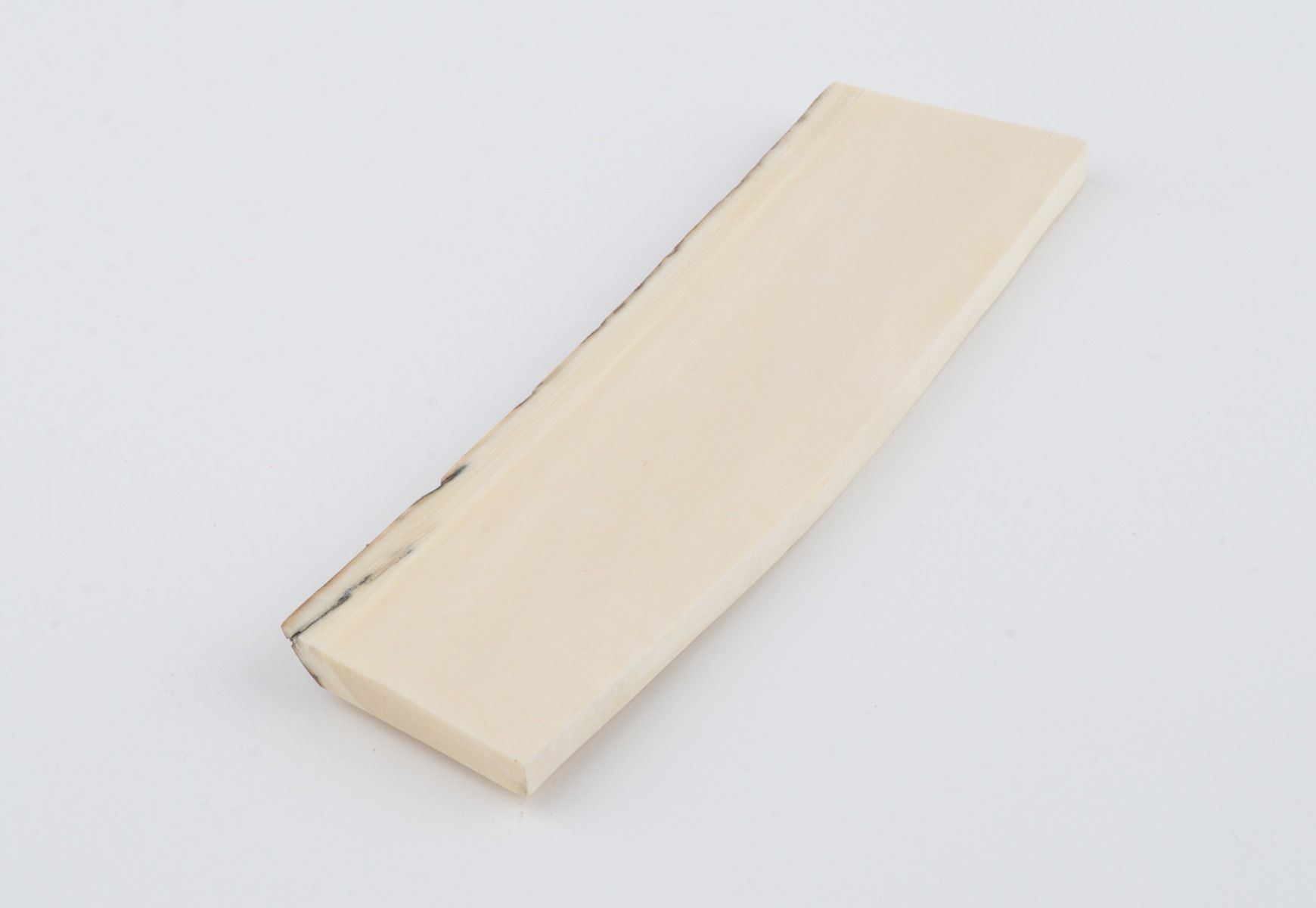 White mammoth ivory segment