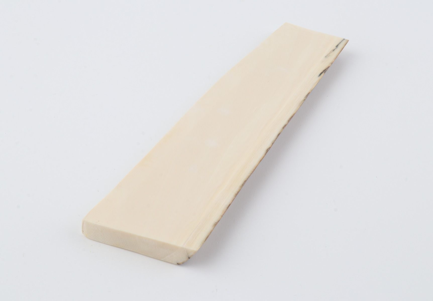 White mammoth ivory segment