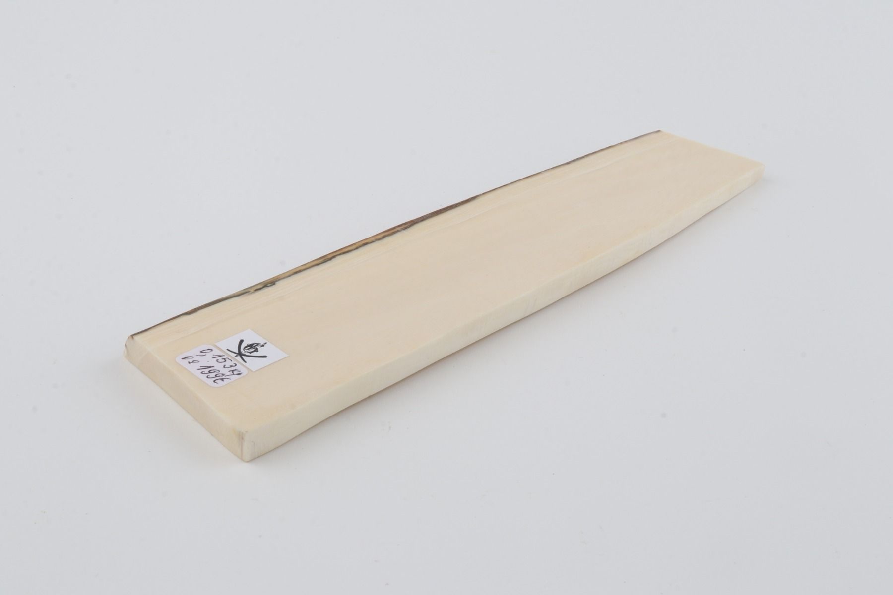 White mammoth ivory segment