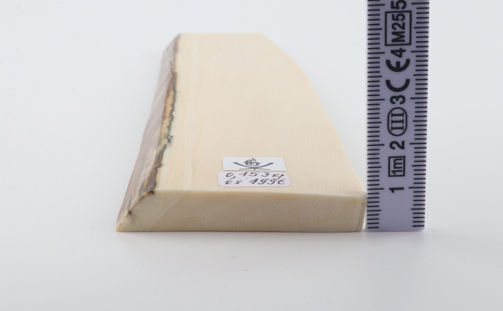 White mammoth ivory segment