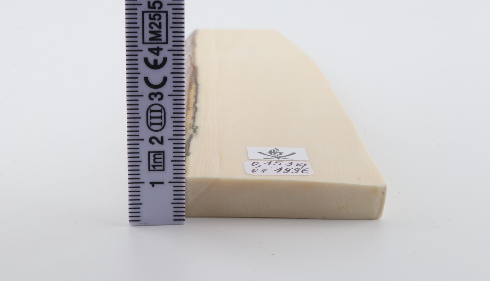 White mammoth ivory segment