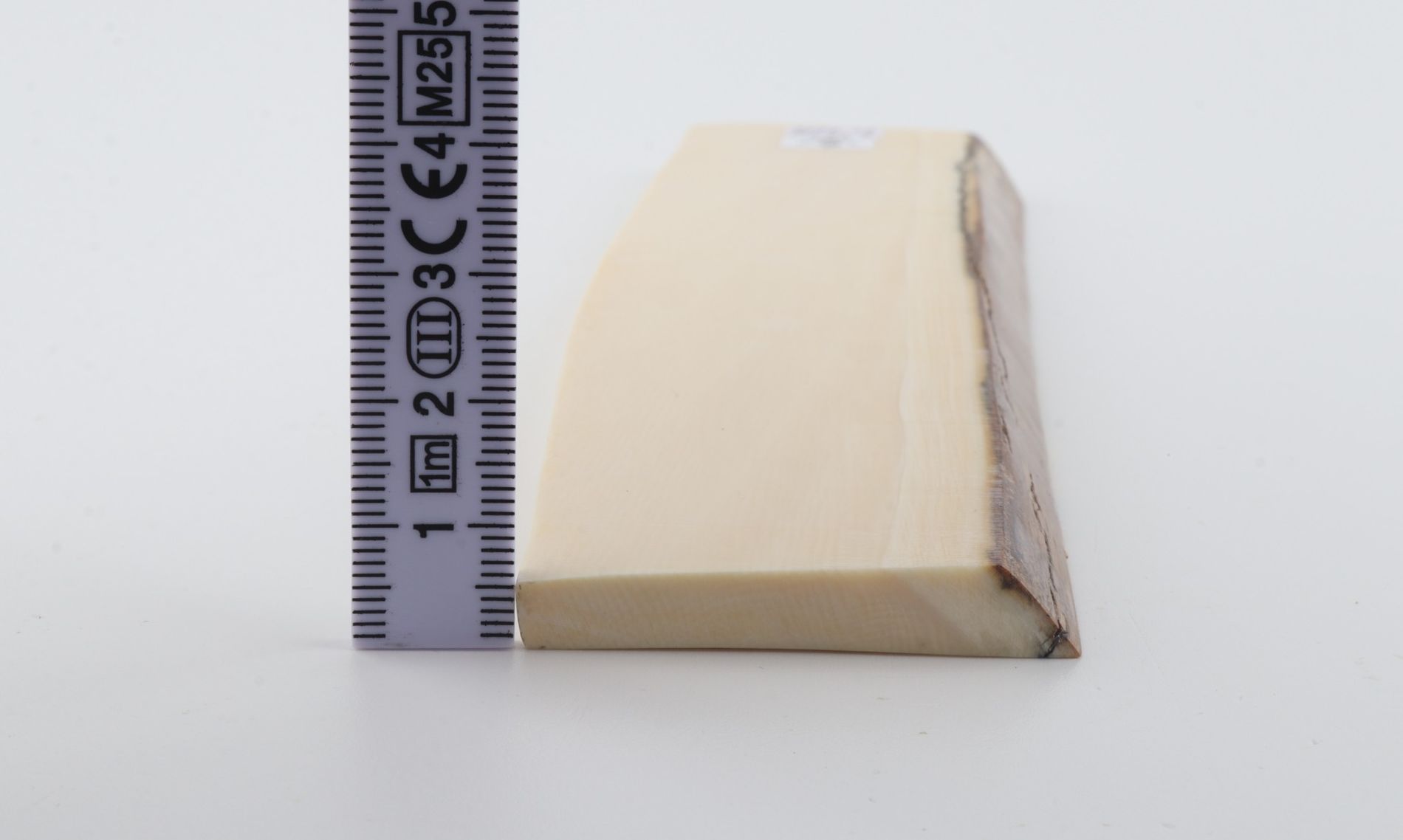 White mammoth ivory segment