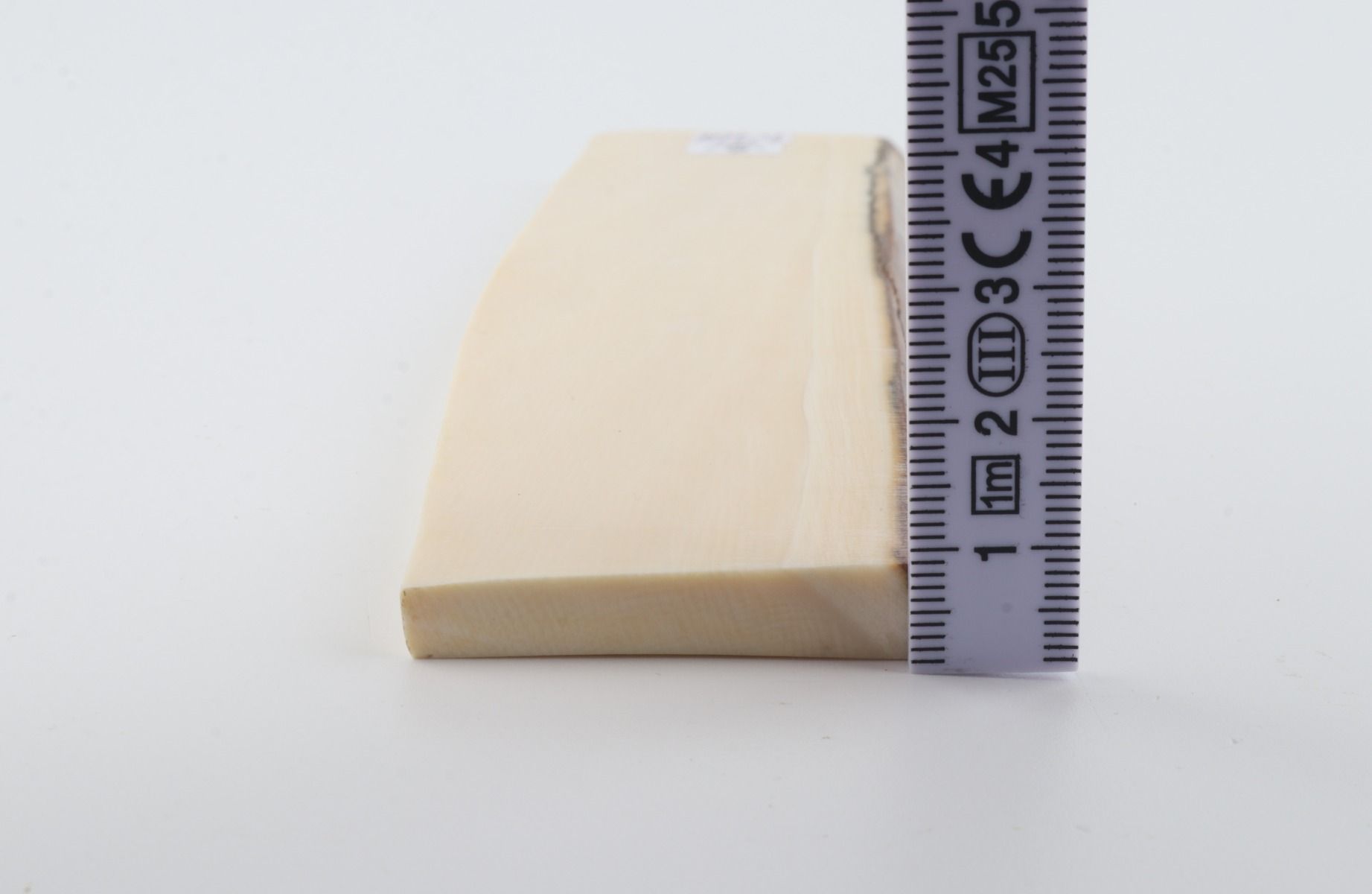 White mammoth ivory segment