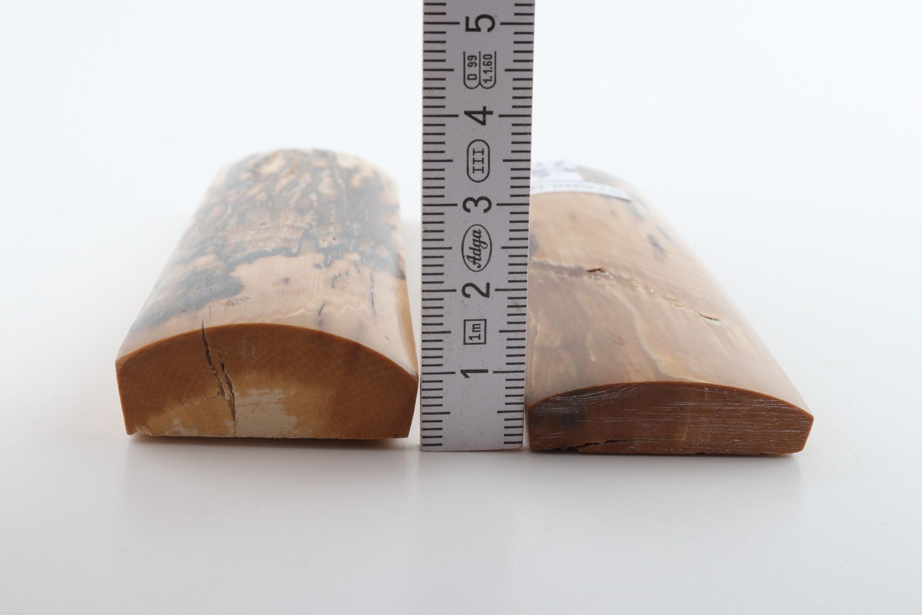 Stabilized mammoth bark scales