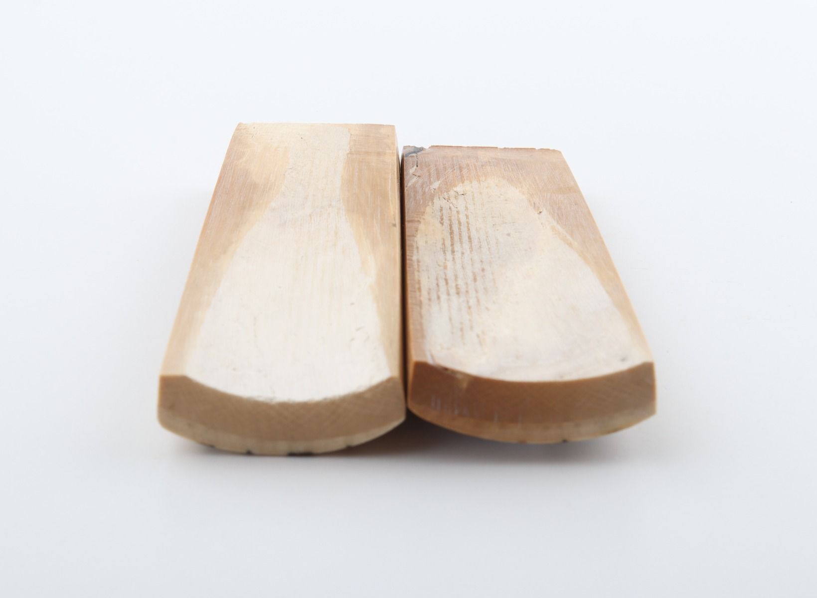 Stabilized mammoth bark scales