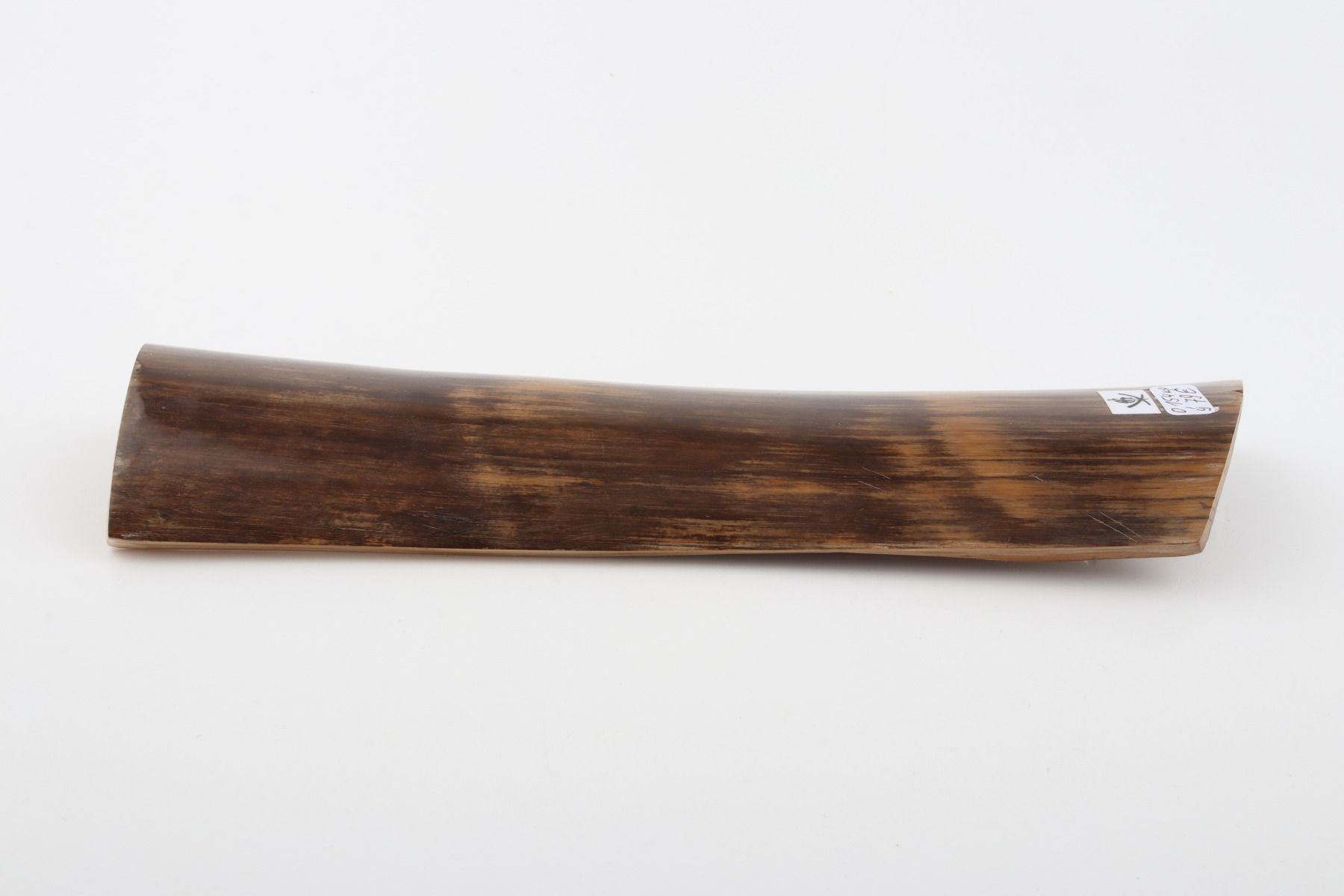 Brown mammoth bark