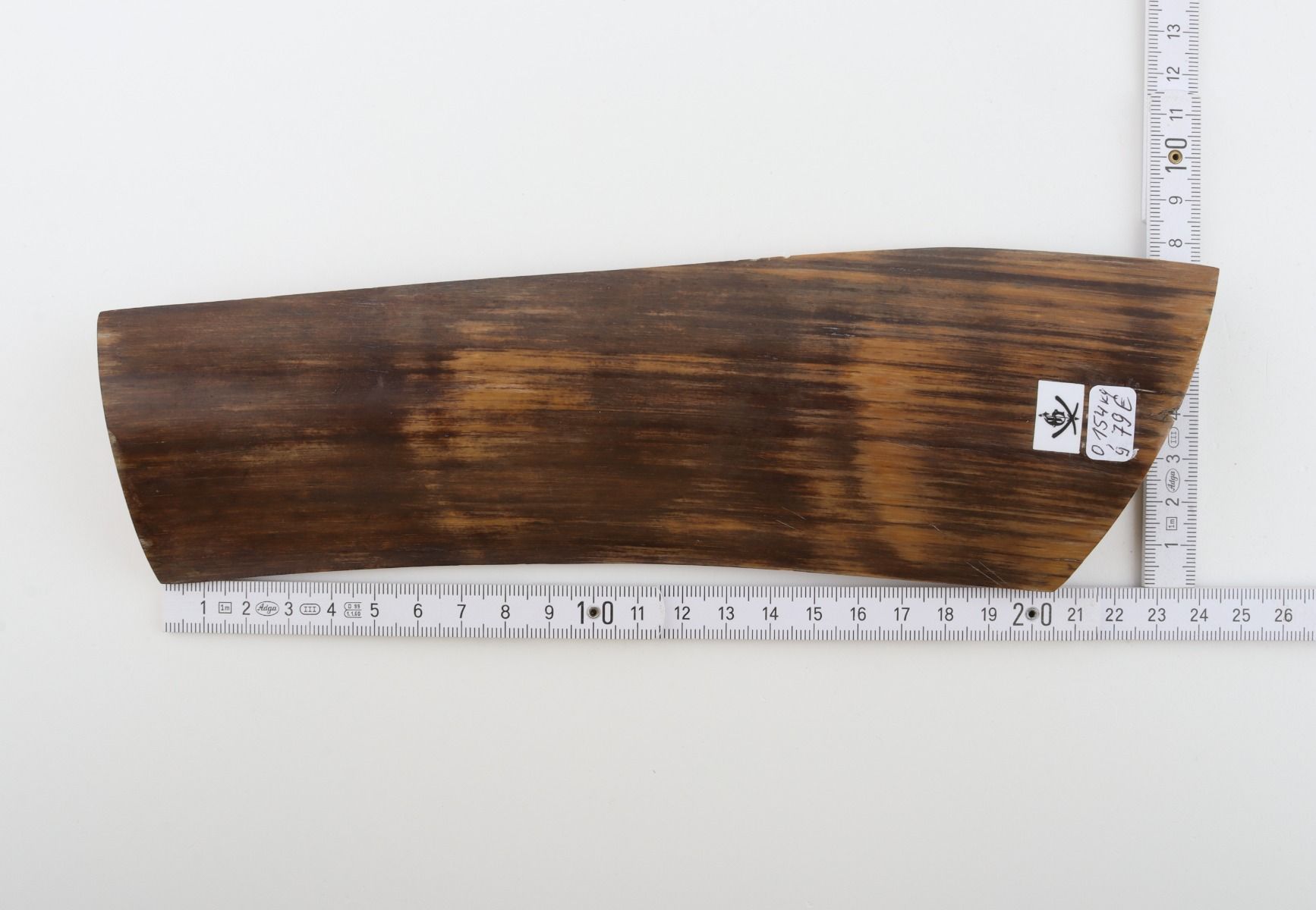 Brown mammoth bark