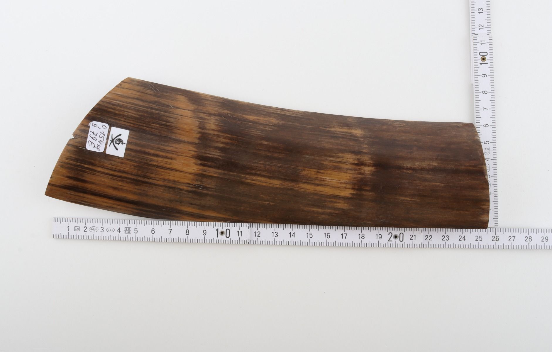 Brown mammoth bark
