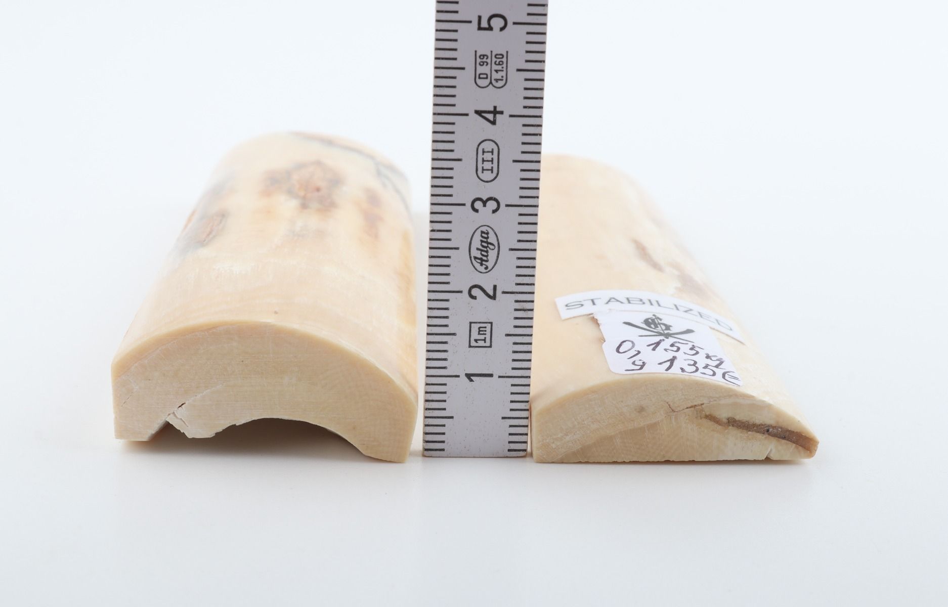 Stabilised mammoth bark scales