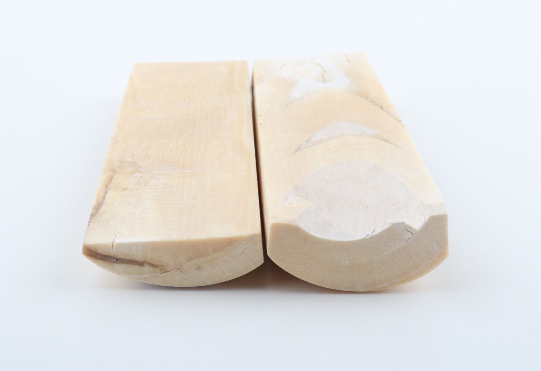 Stabilised mammoth bark scales