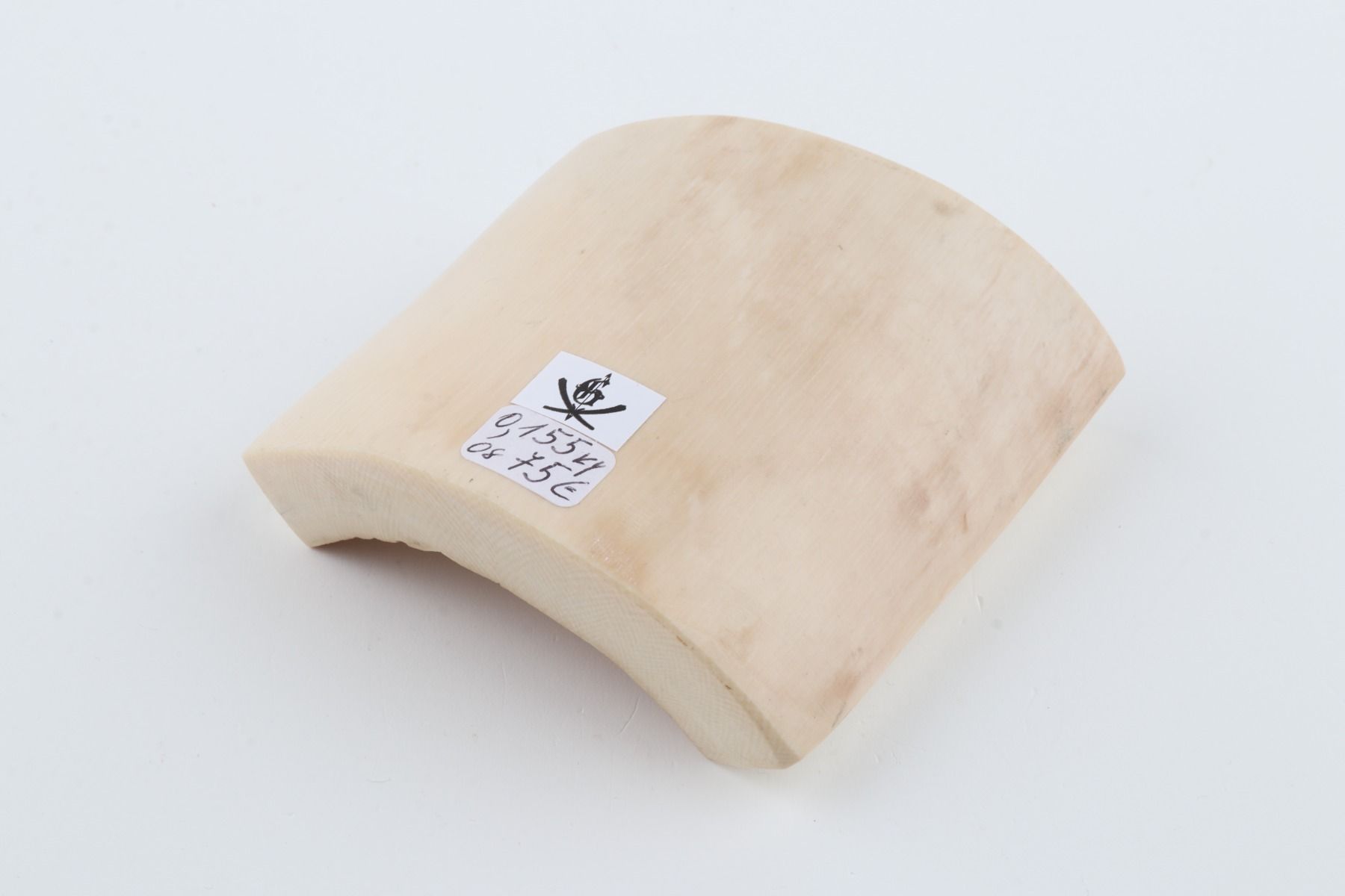 White mammoth ivory piece