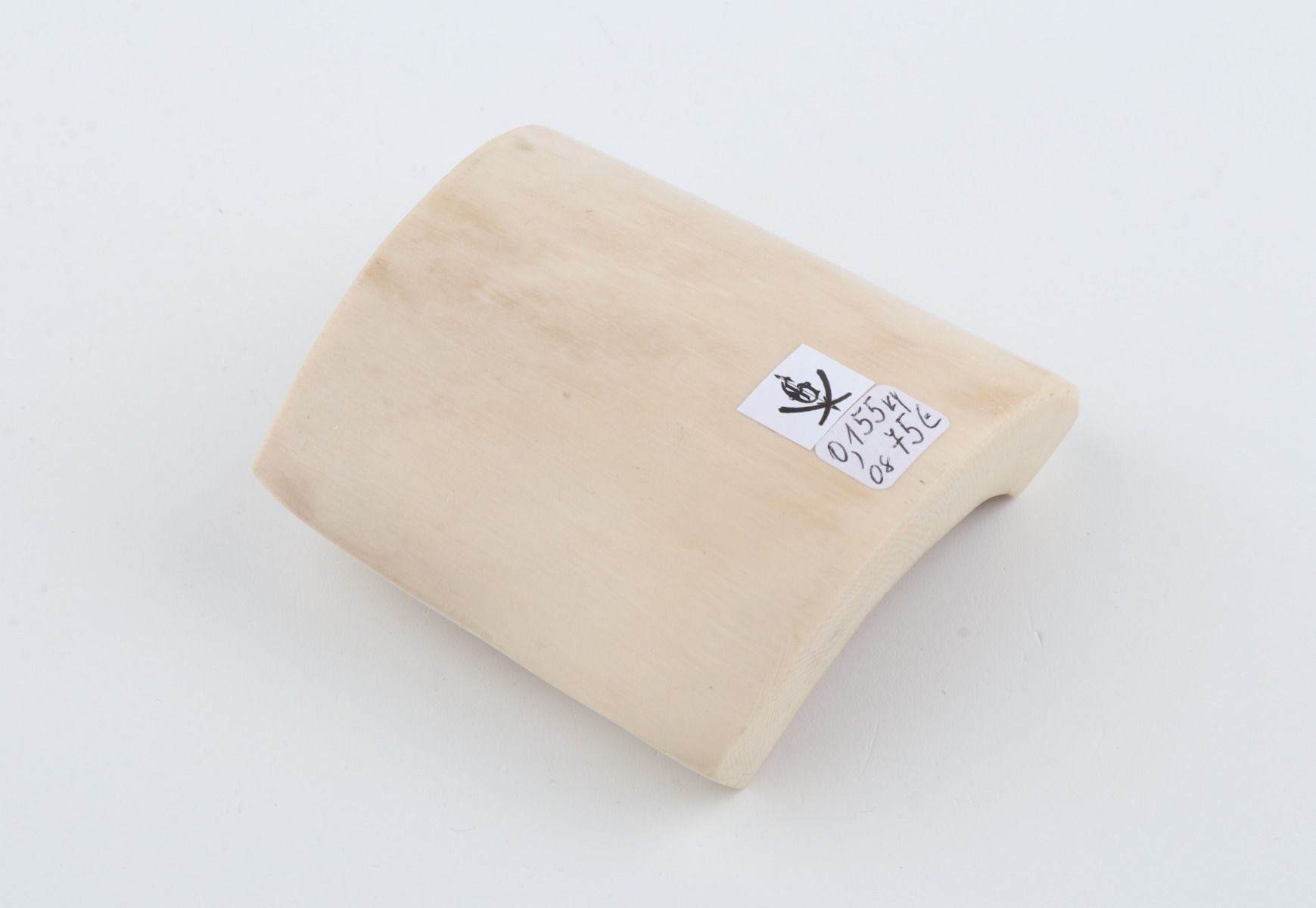 White mammoth ivory piece