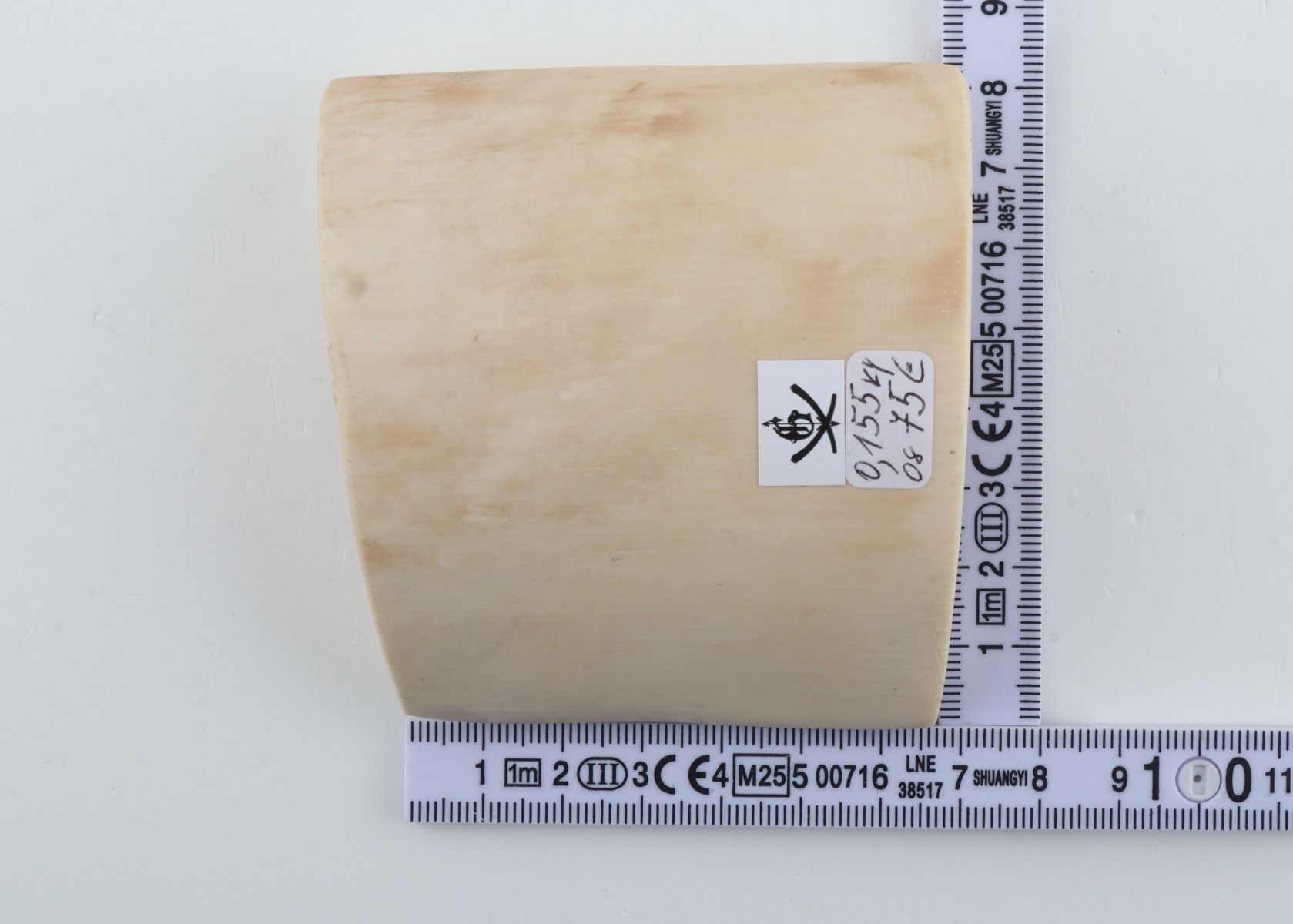 White mammoth ivory piece