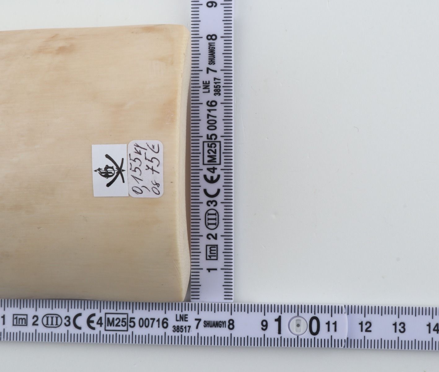 White mammoth ivory piece