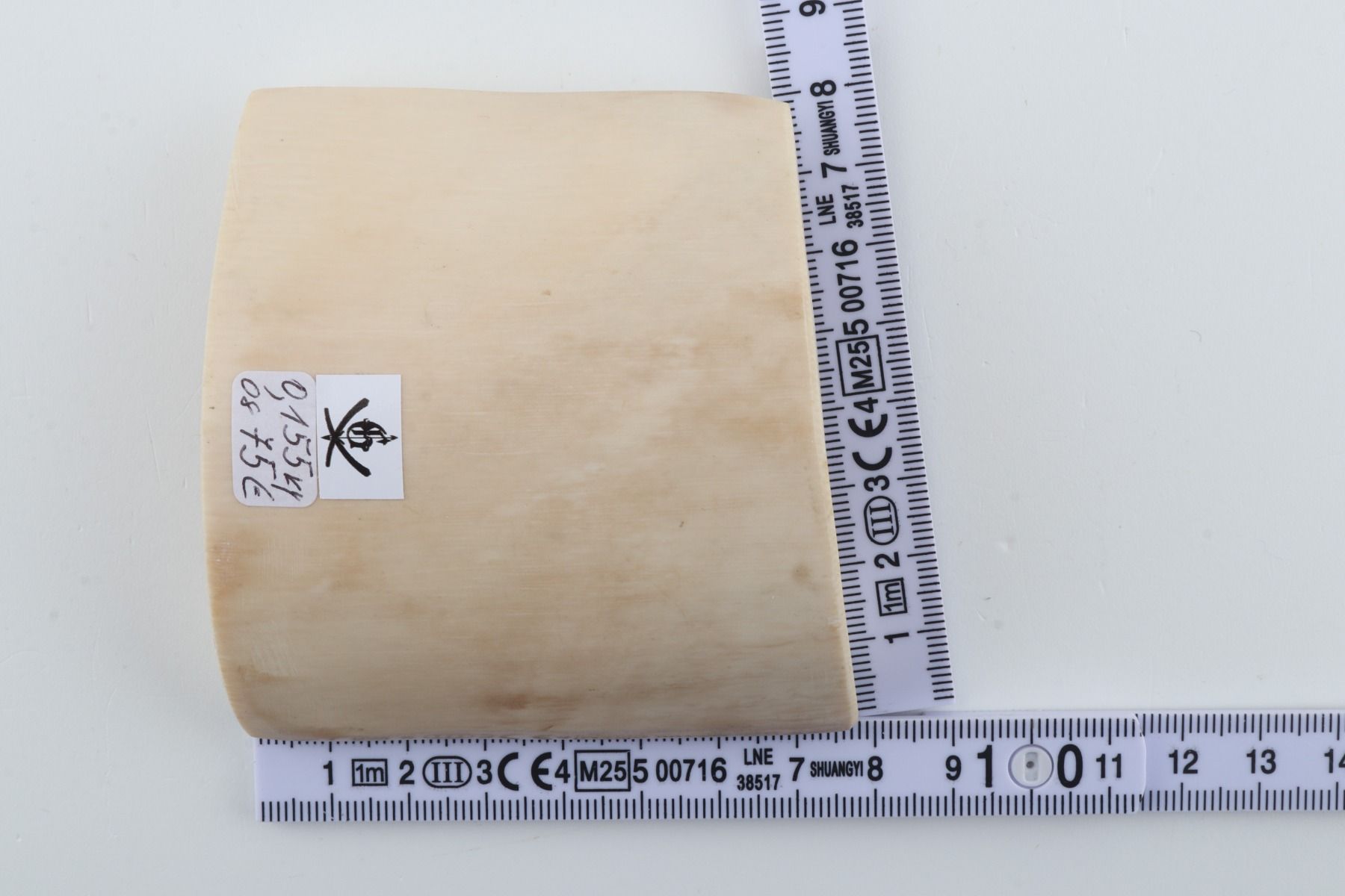 White mammoth ivory piece