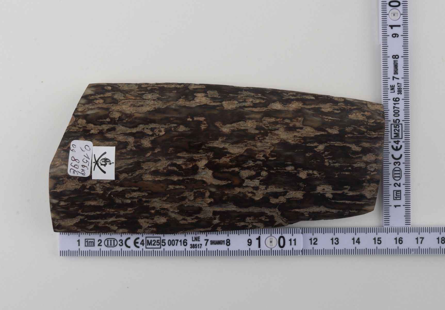 Brown mammoth bark