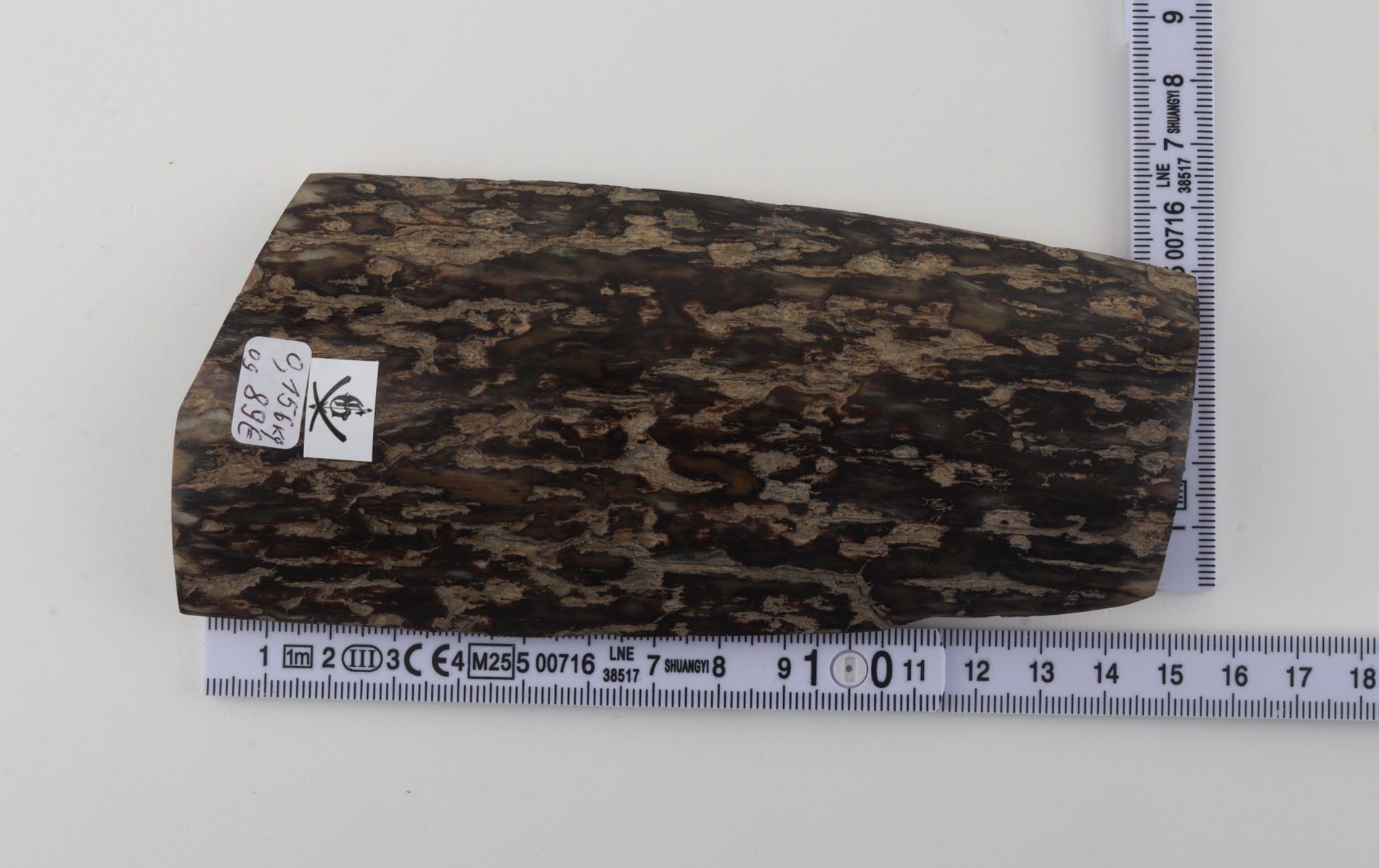 Brown mammoth bark