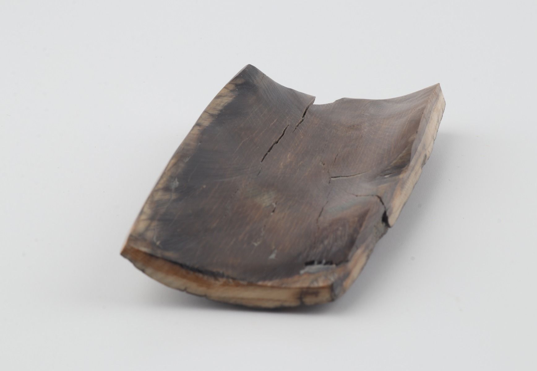 Brown mammoth bark