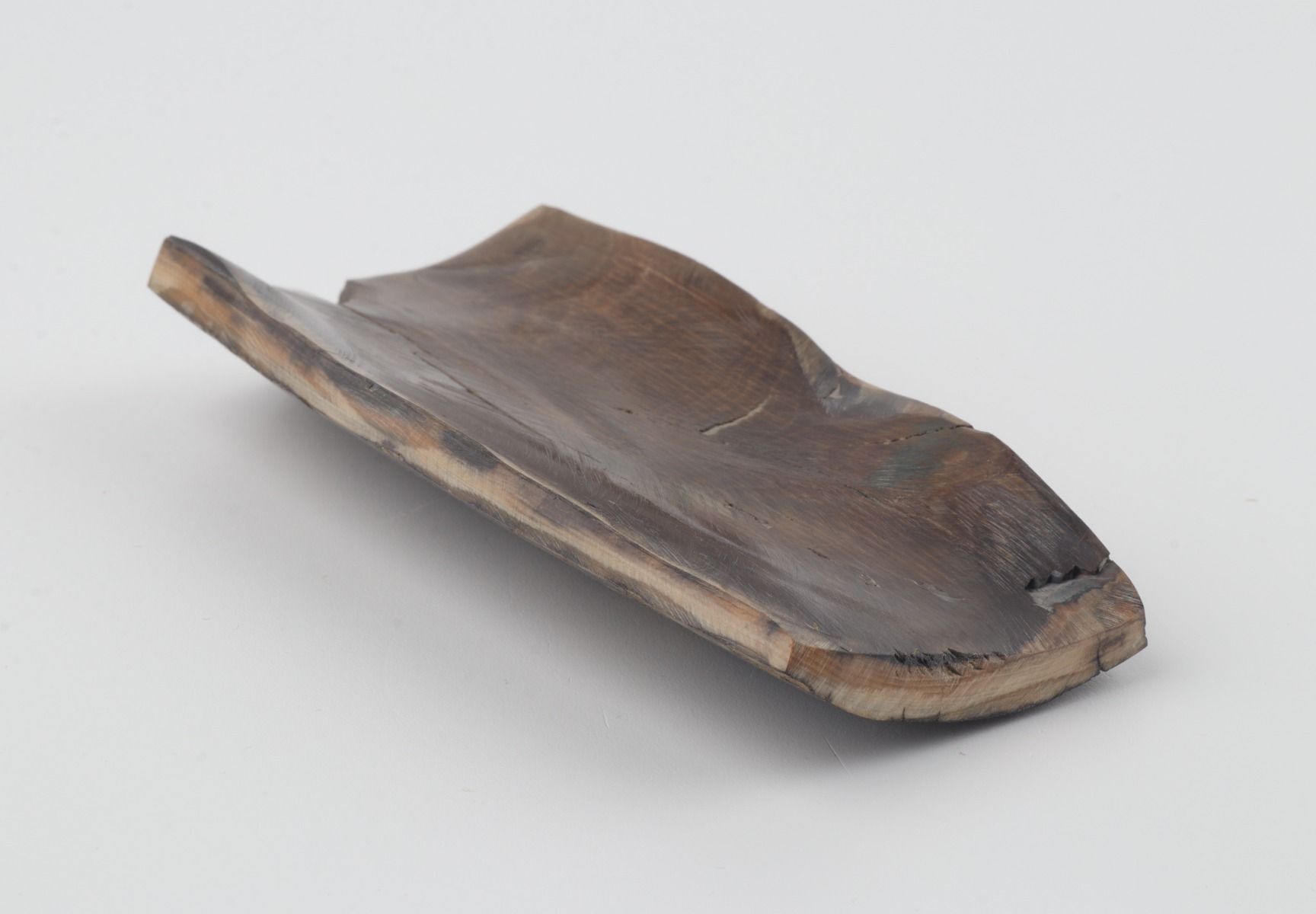 Brown mammoth bark