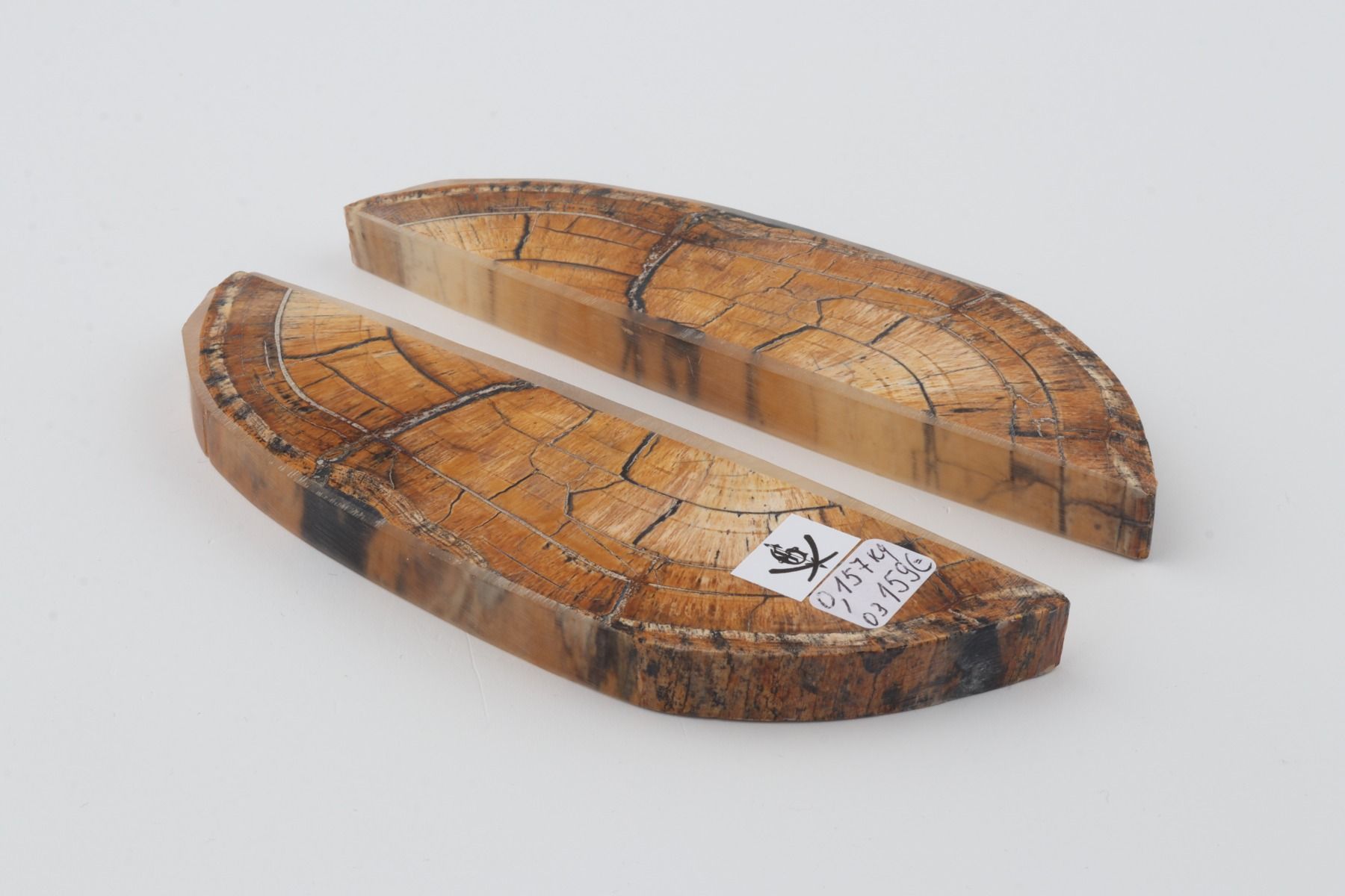 Stabilised mammoth ivory scales